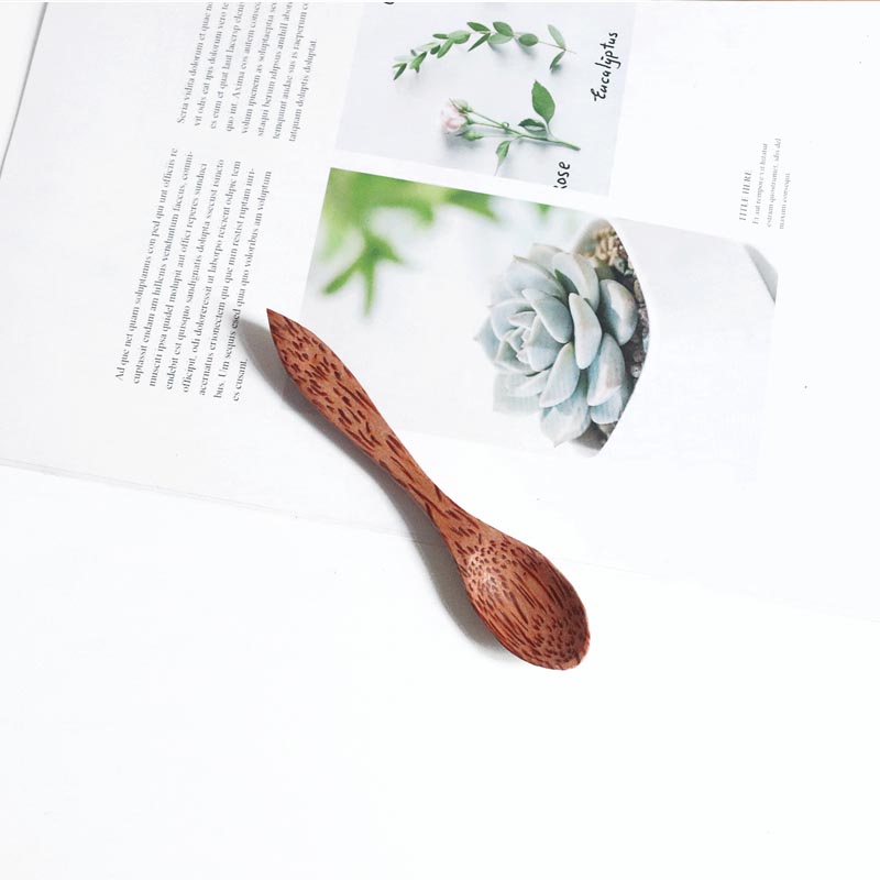 1pcs Natural Coconut Bowl Spoo - Dim Sum Basket review and price
